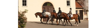 Drei gerittene Pferde vor der Klosterkirche in Offenhausen