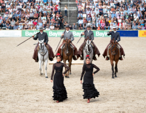 Spanier bei der Hengstparade