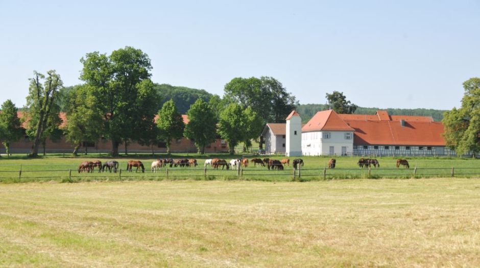 Marbach Vorwerk Fohlenhof (Foto: Silke Busse)