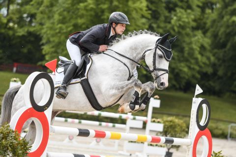 Doctor Blue geritten über dem Sprung, Schimmel Warmblüter