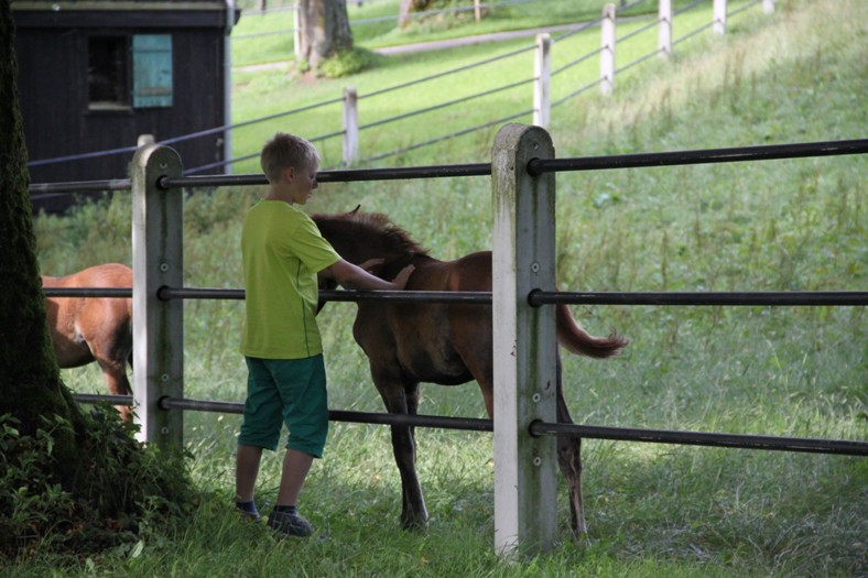 Gäste an den Marbacher Stutenweiden (Foto: Claudia Gille)