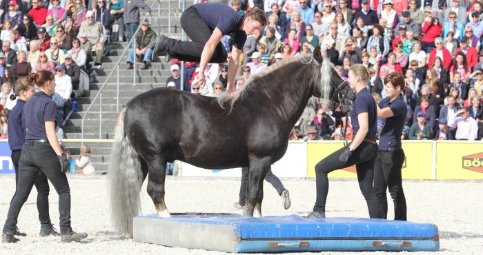 Azubis hüpfen an der Hengstparade über einen Schwarzwälder