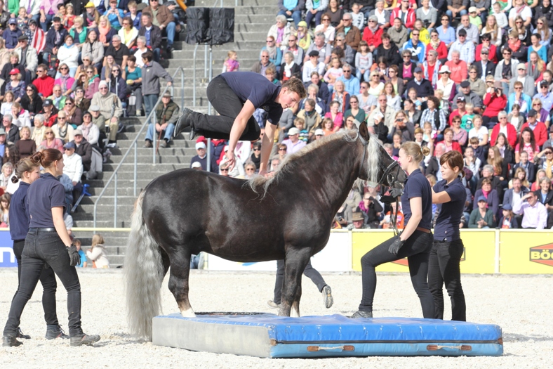 HP 2013 (Foto: Silke Busse)
