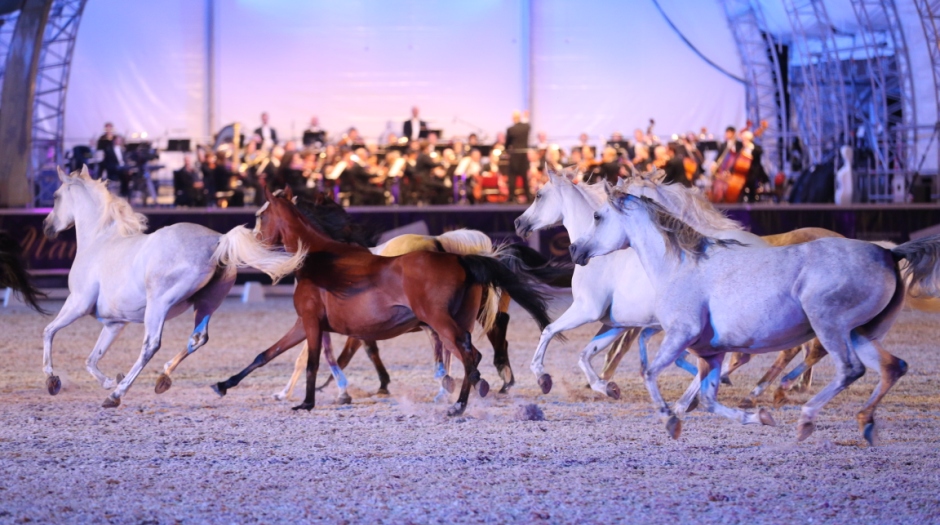 Marbach Classics 2014 Foto Cathrin Schütt
