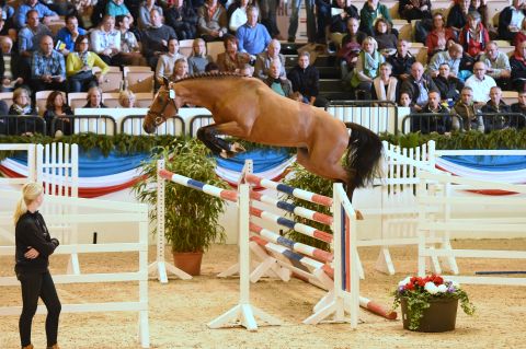 Quwitino Freispringen (Foto: Bugtrup)