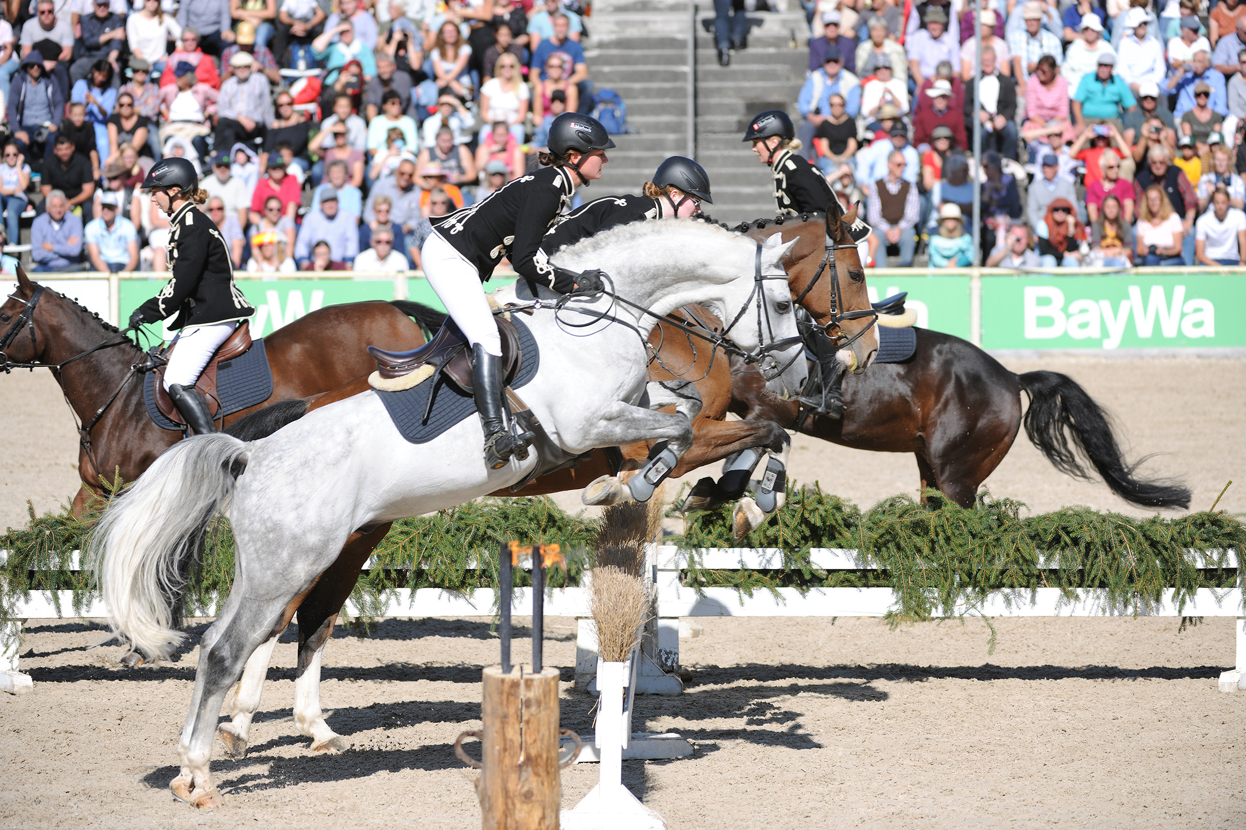 Die Springquadrille- Ein gern gesehenes Schaubild bei den Hengstparaden DSC_5452 Stephan Kube-1.jpg