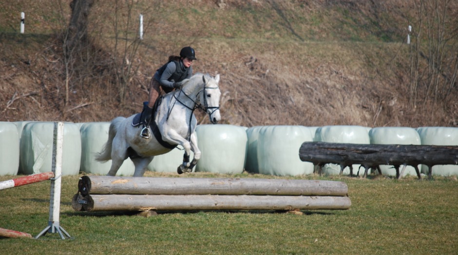Landesreitschule Marbach (Foto: Archiv Marbach)