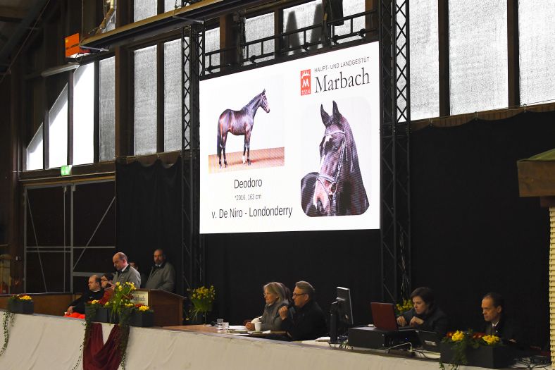 Marbacher Gestütsauktion 2019 (Foto: Max Schreiner)