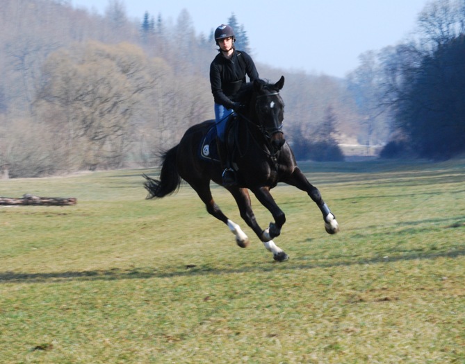 Landesreitschule Marbach (Foto: Archiv Marbach)