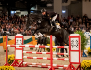 Trakehner Donaubaned über dem Sprung mit Eva-Maria Lühr (F: Lafrentz)