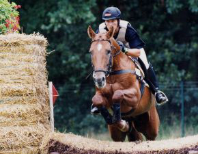 Laurel(T. über dem Sprung (Foto: Archiv Marbach)