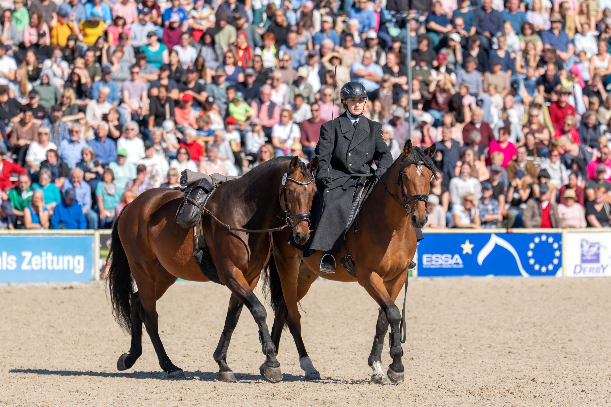 Hengstreiter auf dem Weg zu den Beschälplatten -Foto Stephan Kube.jpg