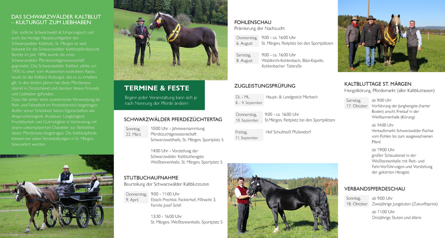 Alternativtext zum Bild