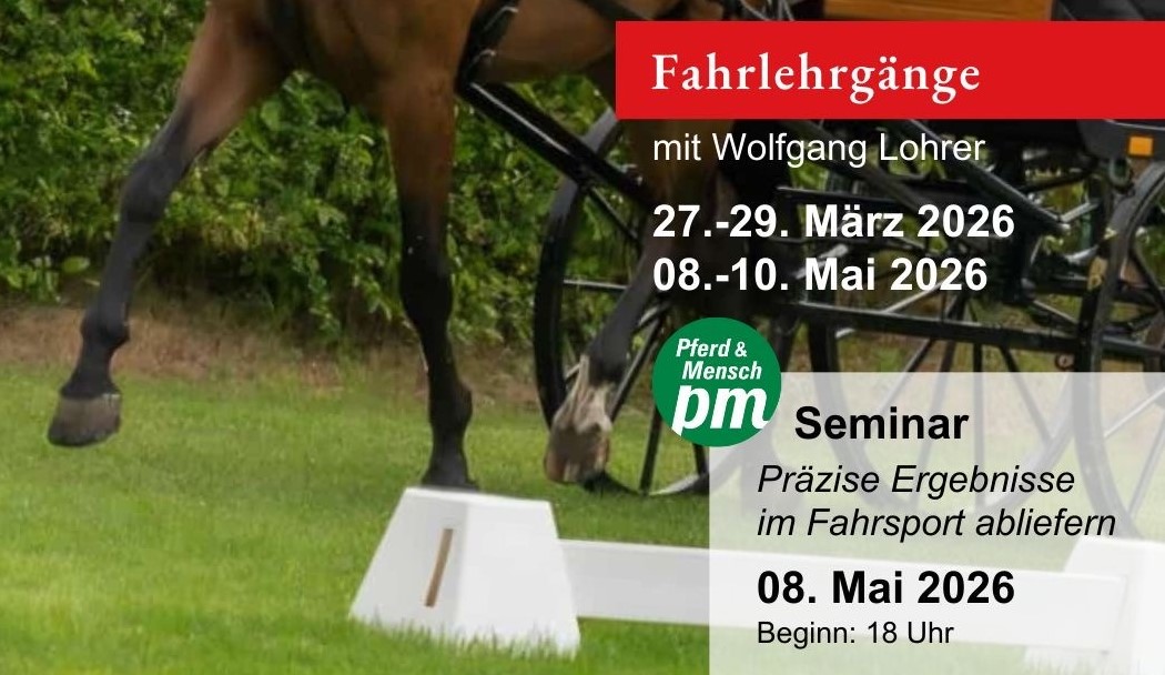 Alternativtext zum Bild