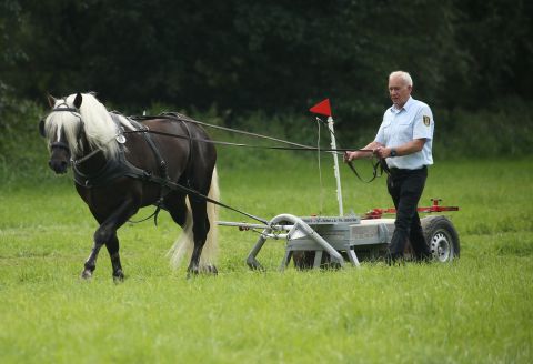 Marklgraf vor dem Schlitten (Foto: Doma)