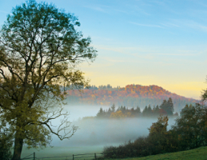 Blick über dei Marbacher Koppeln mit Nebel