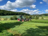 Luzeren mähen_Astrid von Velsen-Zerweck.jpg