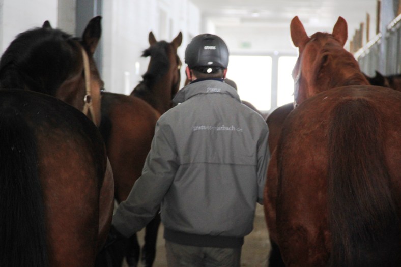 Landesreitschule Marbach (Foto: Claudia Gille)