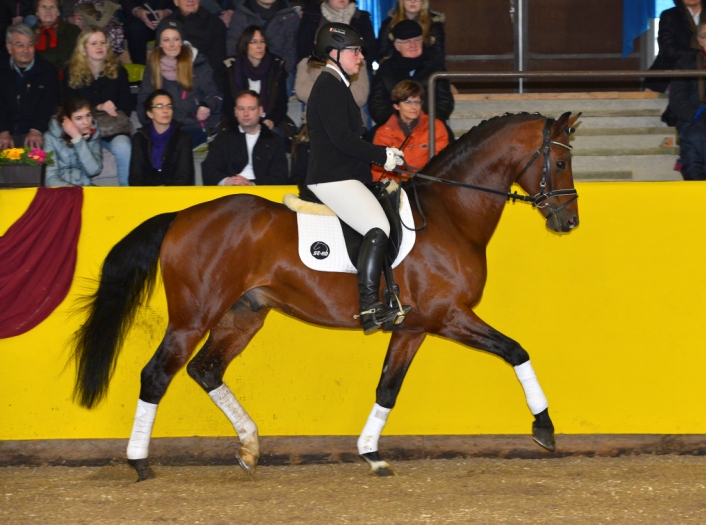Gestütsauktion 2015 (Foto: Maximilian Schreiner)