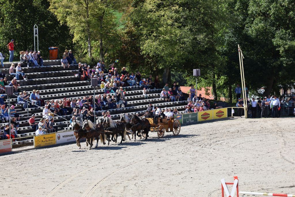 Sechspänner Schwarzwälder Hauptprobe 2023