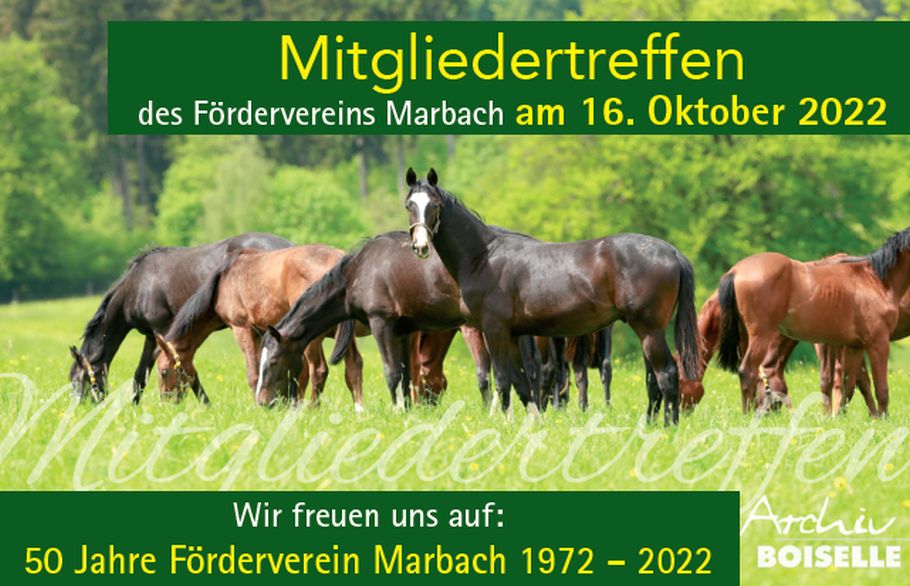 Mitgliedertreffen zum 50 jährigen Jubiläum des Fördervereins Marbach 