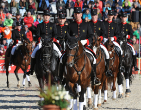 Hengstquadrille an der Hengstparade 2016