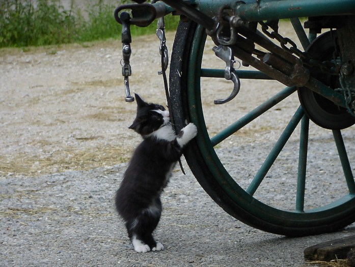 Landesfahrschule Marbach (Foto: Archiv Marbach)