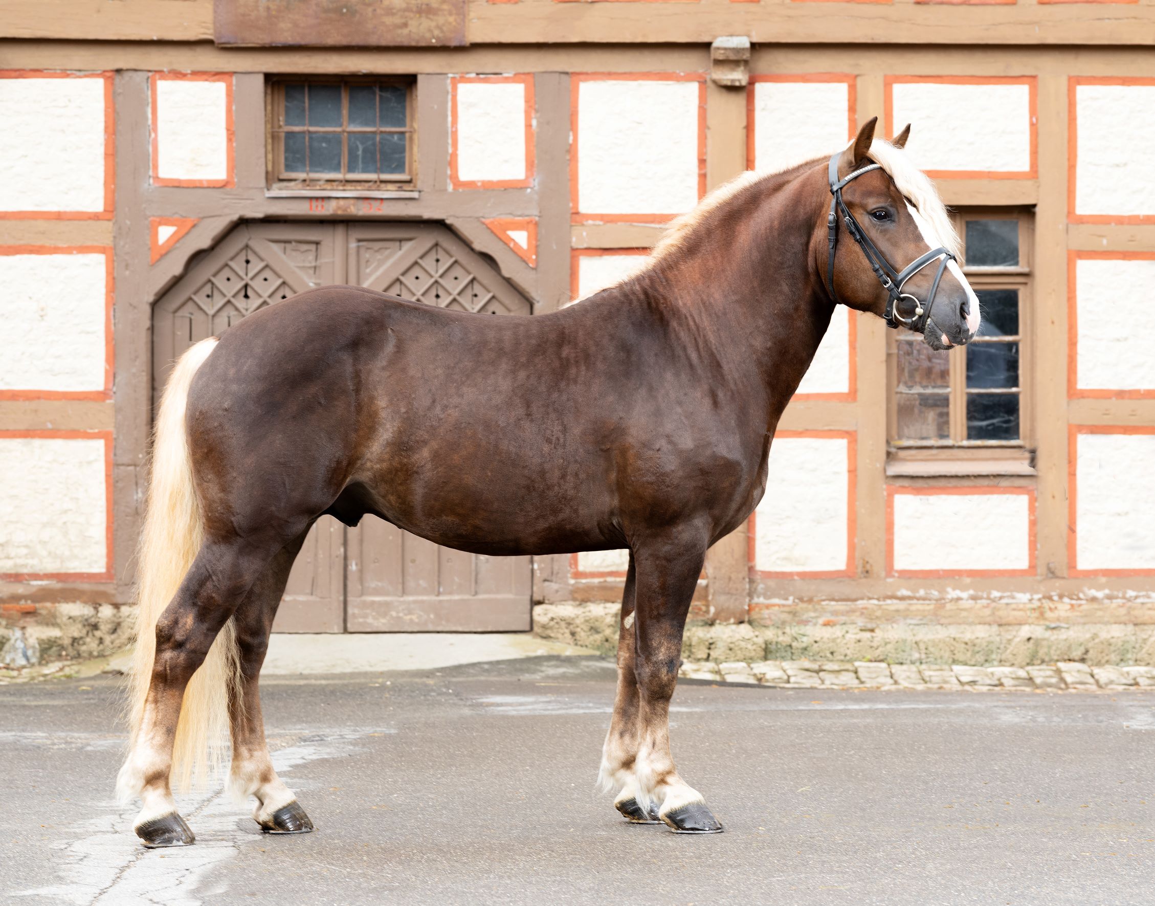 Fürstenberg