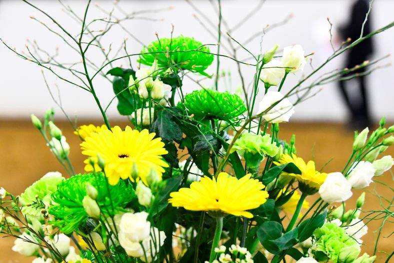 Marbacher Gestütsauktion 2018 (Foto: Max Schreiner)