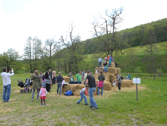 Festwochenende 500 Jahre Marbach Foto Maximilian Schreiner
