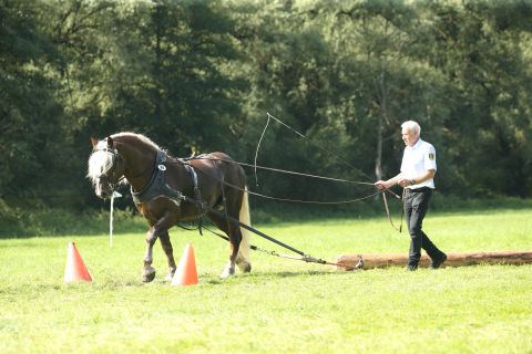 Ramon vor dem Schlitten (Foto: Doma)