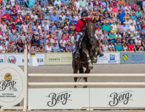 Pferd über Berg-Sprung an der Hengstparade