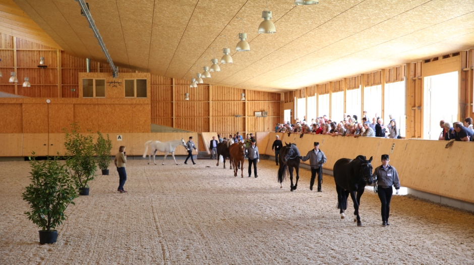 Festwochenende 500 Jahre Marbach Foto Oliver Gekeler