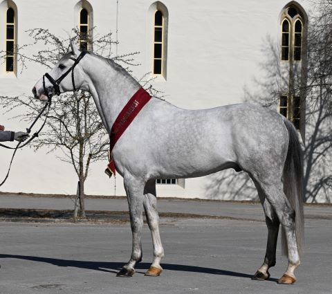 Standbild Doctor Blue (Foto: Kube)