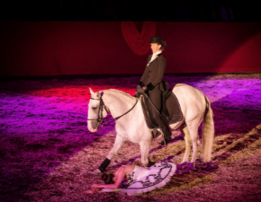 Auftritt Marbach Classics Ballerina