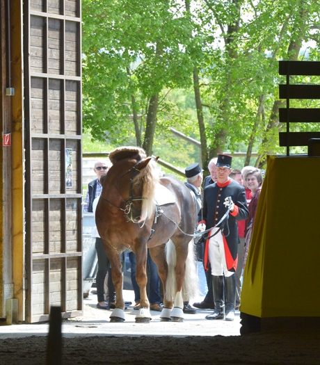 Festwochenende 500 Jahre Marbach Foto Maximilian Schreiner