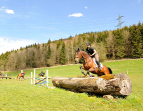 Außenplatz Landesreitschule