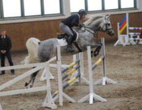 Devdas über dem Sprung geritten (Foto: Ulbrich)