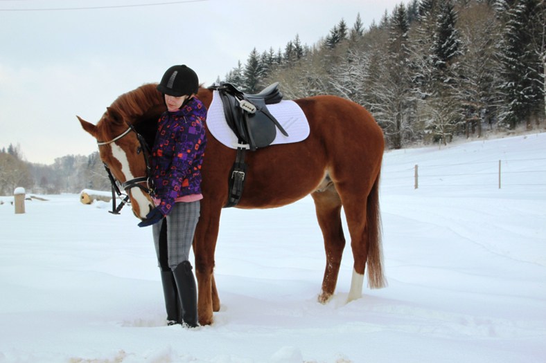 Landesreitschule Marbach (Foto: Claudia Gille)