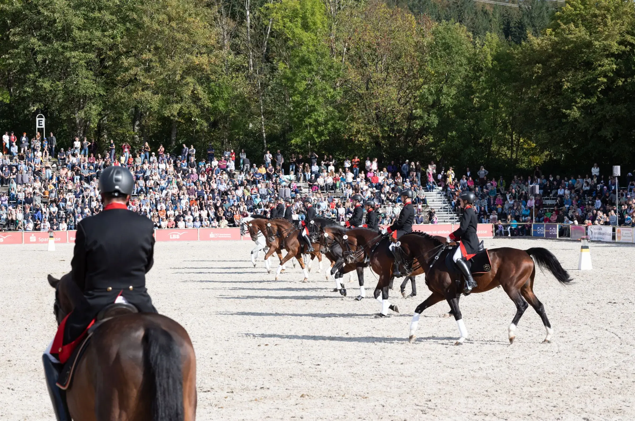 Große Marbacher Dressurquadrille