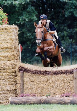 Laurel/T. geritten über einem Vielseitigkeitssprung, Fuchs Trakehner