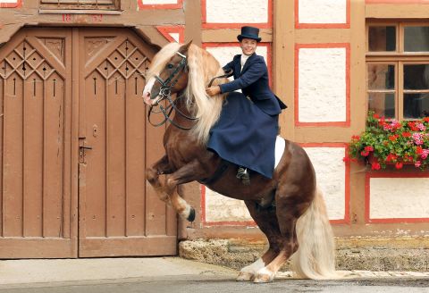 Weissenbach gestiegen (FOto: Boiselle)