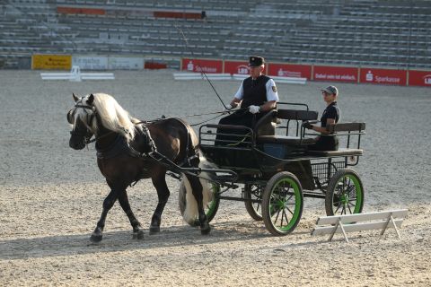 Markgraf vor der Kutsche (Foto: Doma)