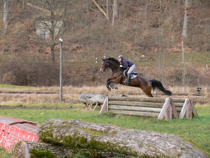 Landesreitschule Marbach (Foto: Archiv Marbach)