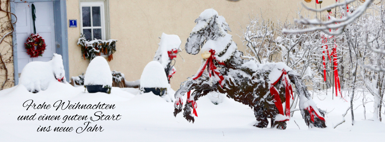 Alternativtext zum Bild