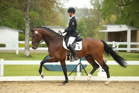 Vermeer und Lukas Maier in Aulendorf. Foto: Doris Matthaes