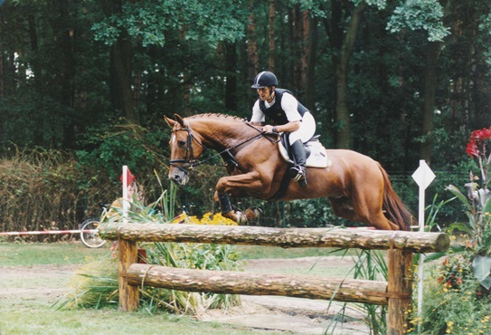 Laurel/T. geritten über einem Vielseitigkeitssprung, Fuchs Trakehner