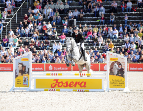 Josera Sprung in der Hengstparaden Arena
