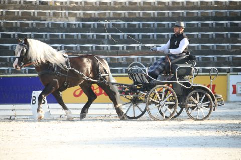 Von Baden vor der Kutsche (Foto: Doma)