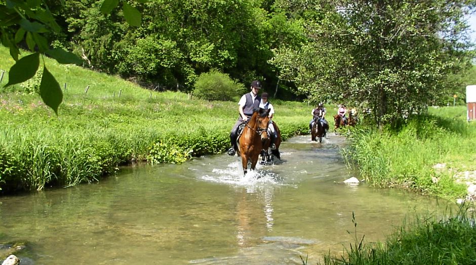 Lehrpferde beim Ritt durch die Lauter